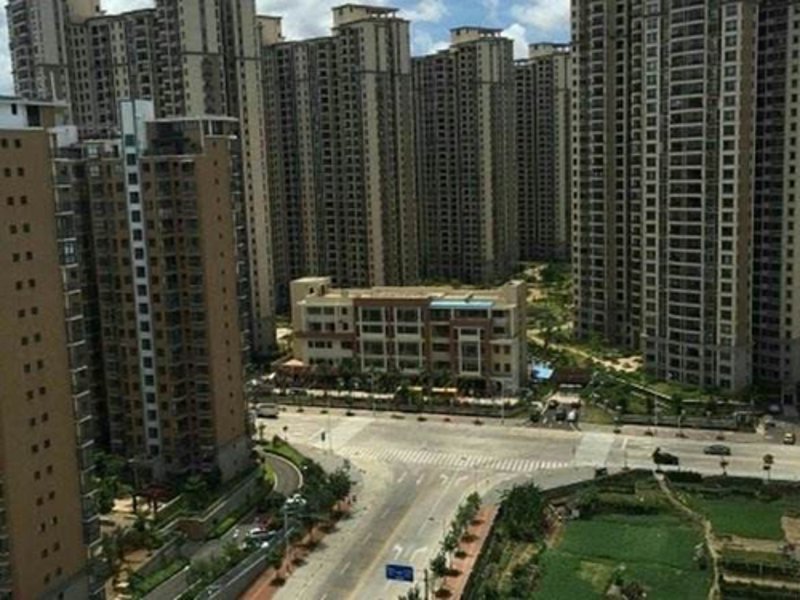 海口公司注册新动向：政策利好与市场前景